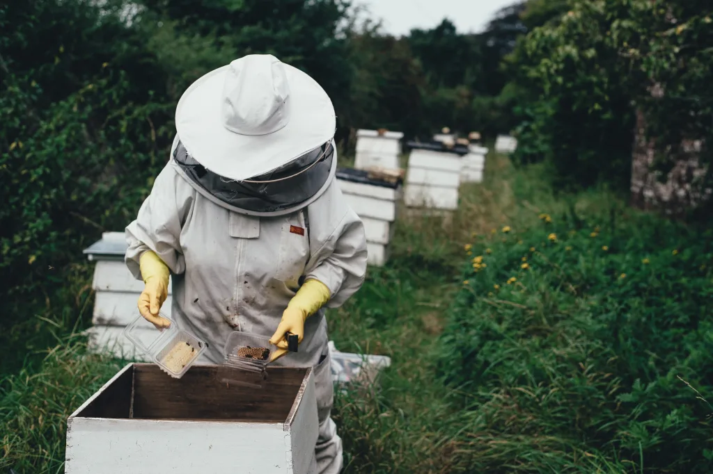 Facilitating Newsletter Launches with Beehive: A Tutorial