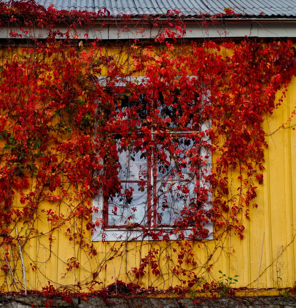 Developing Emotional Intelligence for Stronger Relationships Developing Emotional Intelligence for Stronger Relationships