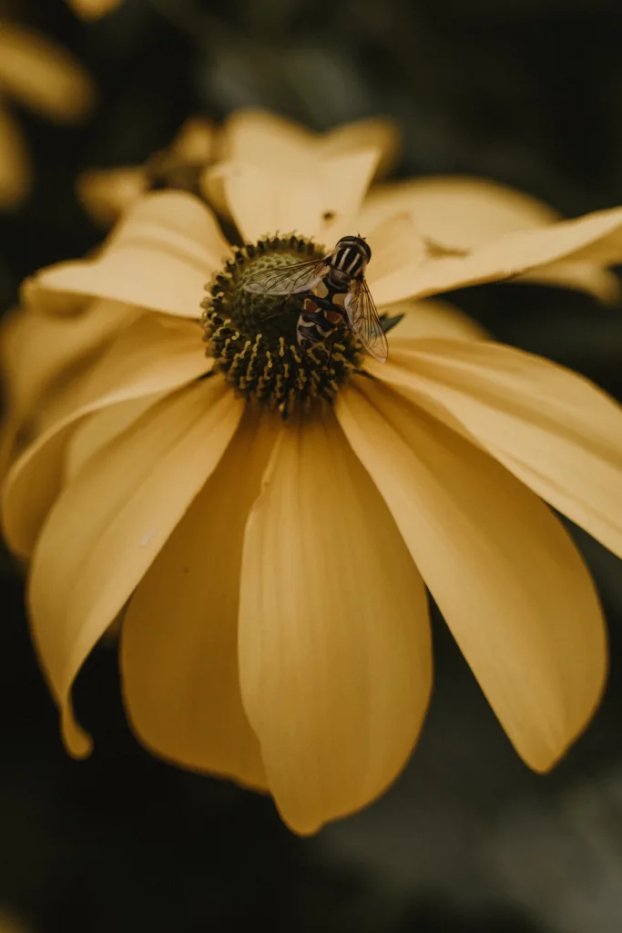 Unlocking Opportunities for New Business Development Unlocking Opportunities for New Business Development