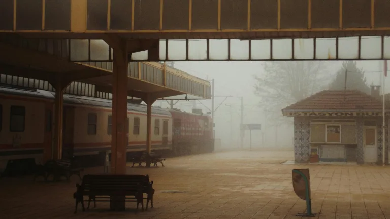 Why You Should Contribute to HARO (Help a Reporter Out)