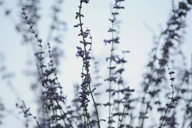 Creating a Media Kit: Showcasing Your Business or Project